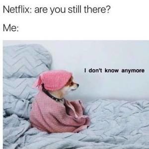 Meet your Posher, Laurel